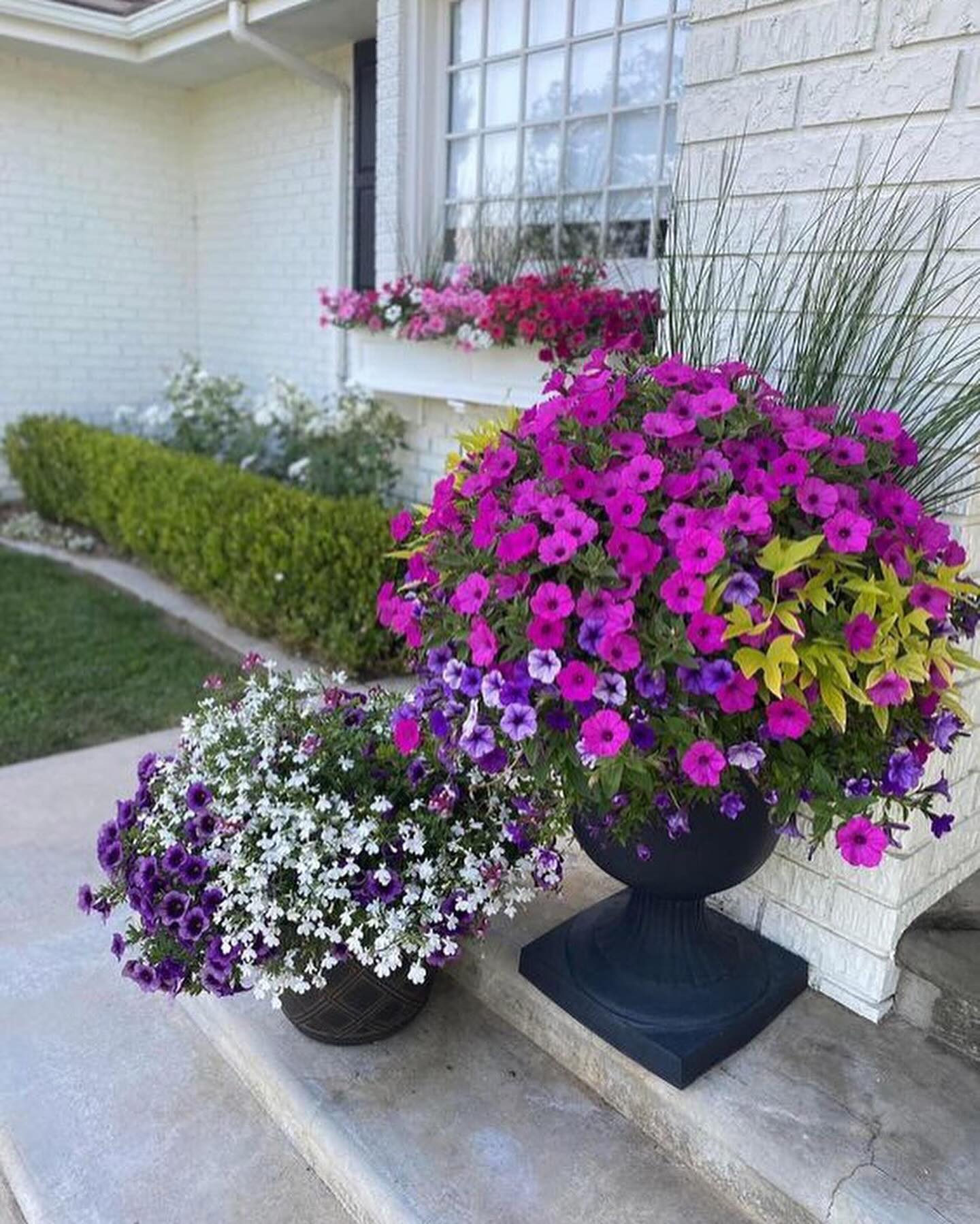 – Мамо, навіть не думай про це! Нікуди ми собаку прилаштовувати не будемо! І я тобі забороняю на цю тему говорити зі мною чи з Вірою!