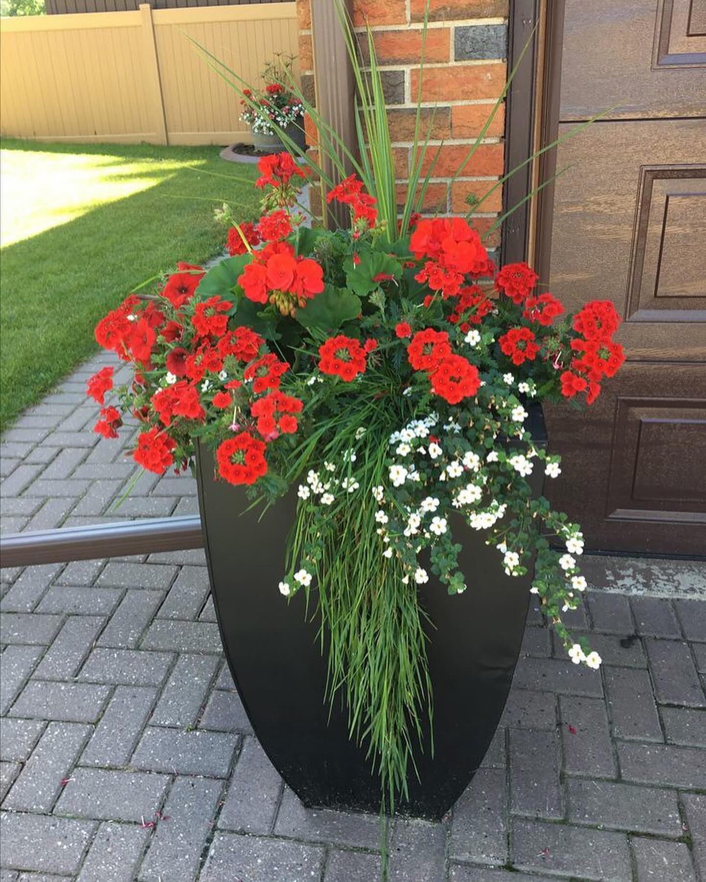 – Скільки можна чекати? – роздратовано прошипіла Даша. – Їй уже майже вісімдесят, а вона не здається! Сама ще за грядками доглядає, наче вічно жити зібралася!  – Доки вона жива, ми не можемо продати ні будинок, ні ділянку. Стас має рацію – треба щось вирішувати