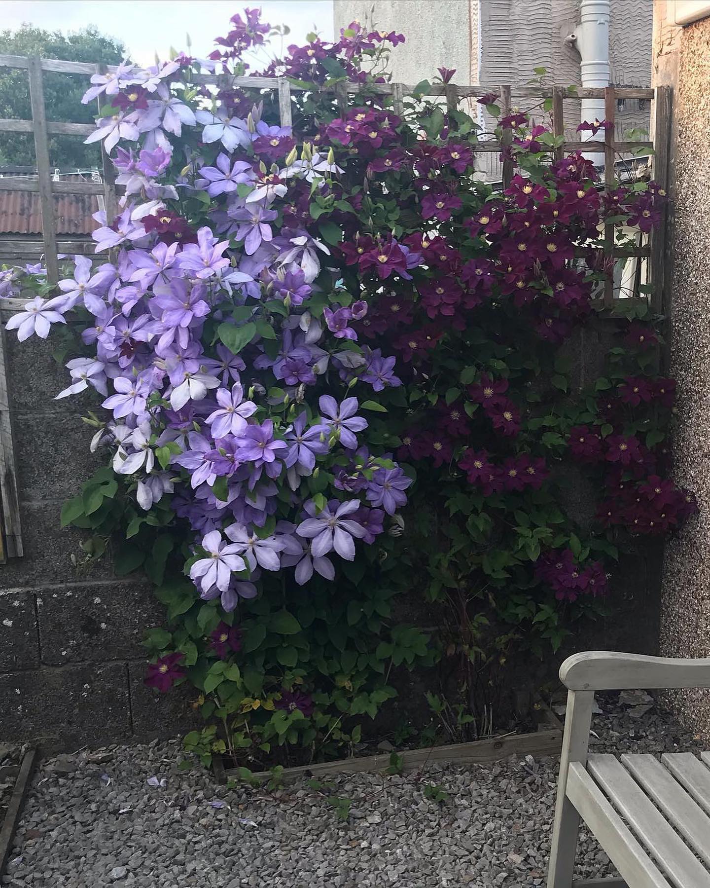 – Чому ти так рано пішла? Пішла і всю мою радість з собою забрала