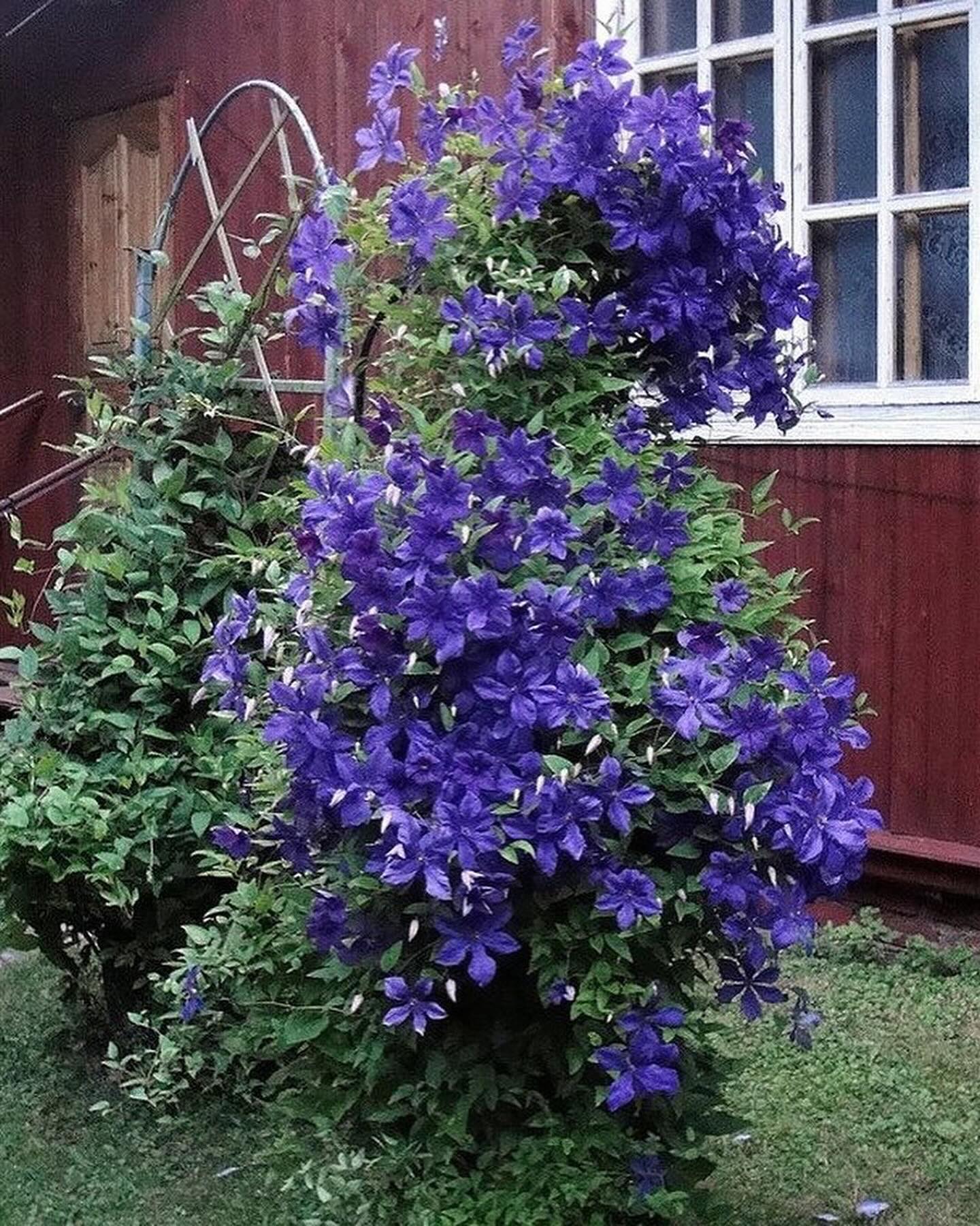 – Дивися, білоручка знайшлася! Келихи вона помити не може! Мужика під каблук загнала, сіла на його шию, мешкає в нього, живе його коштом! Ну не його вона поля ягода, не його…