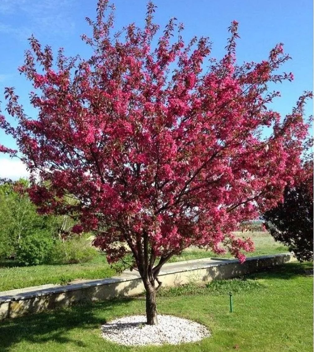 – Де ти ще такого чоловіка знайдеш? Квартира своя, машина є і заробляє добре. Погуляє і прийде перепрошувати, а ти вже, будь добра, не комизися.