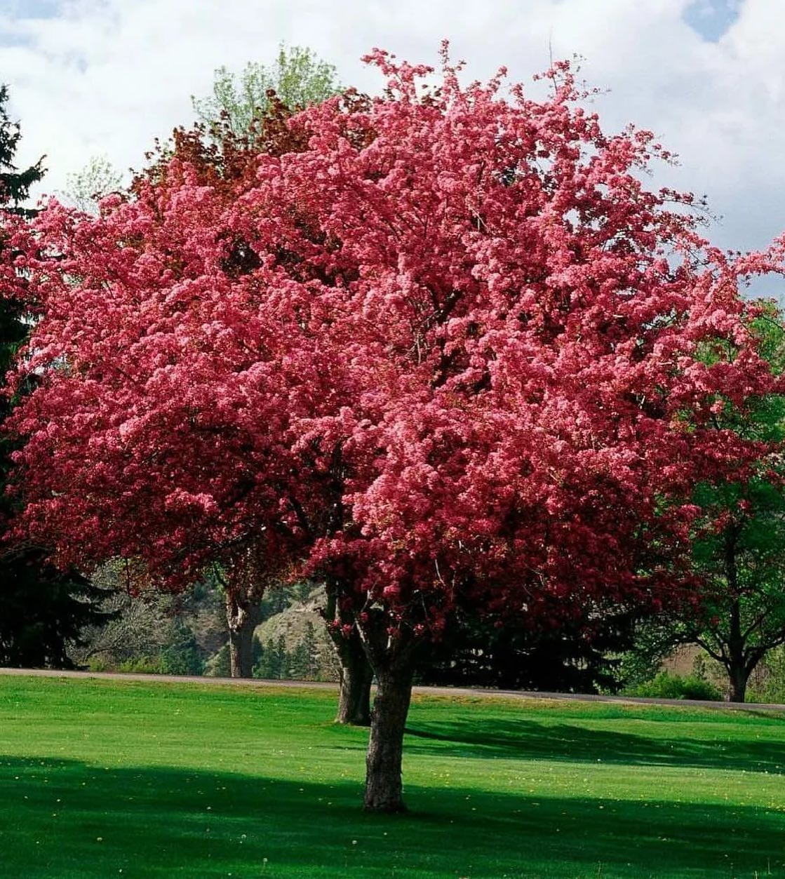 – Дивися, білоручка знайшлася! Келихи вона помити не може! Мужика під каблук загнала, сіла на його шию, мешкає в нього, живе його коштом! Ну не його вона поля ягода, не його…