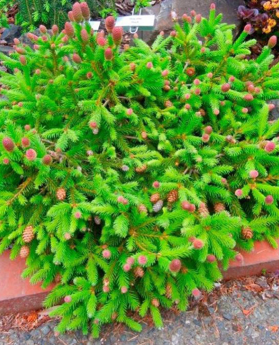 Будеш на одну пенсію жити? – Дві ж мені ніхто не дасть. – А я про що! Працювати треба, а тебе виперли. – Я сама пішла, втомилася, здоров’я вже не те. – А як ми тепер без твоєї великої зарплати будемо? – Обурилася дочка