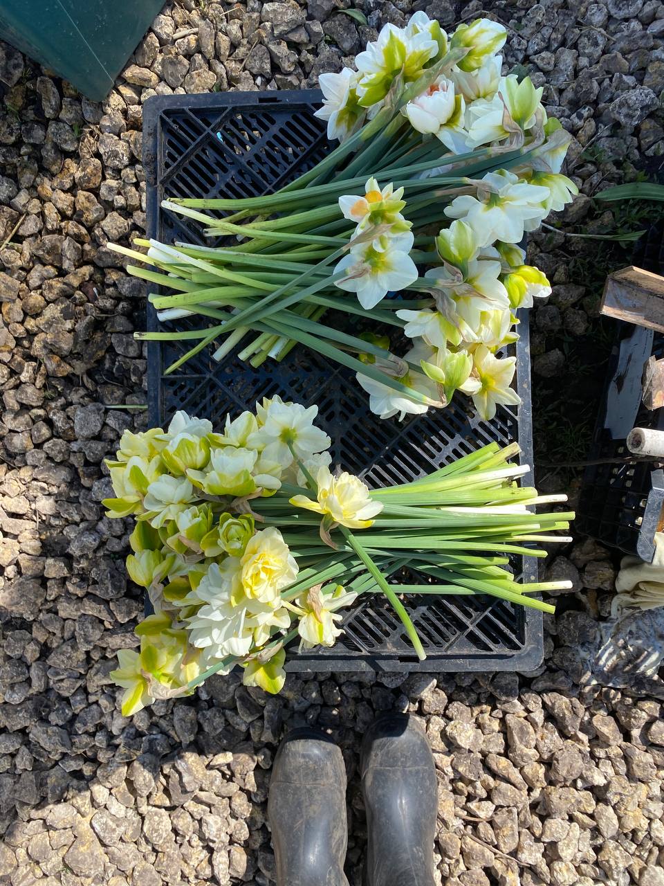 Кілька тижнів від Олени нічого не було чутно. Кіра вже почала думати, що конфлікт вичерпано, як раптом з’явилася свекруха. Валентина Сергіївна приходила під різними приводами. — Яка у вас простора квартира, — захоплено говорила вона, заглядаючи в гостьову кімнату. — Тут стільки місця! Тут стільки людей могло б жити і не заважати одне одному. Кіра мовчки кивала, але всередині наростало розуміння, до чого вона веде. Свекруха надто уважно оглядала порожні кімнати, міряла поглядом коридори, ніби щось планувала.