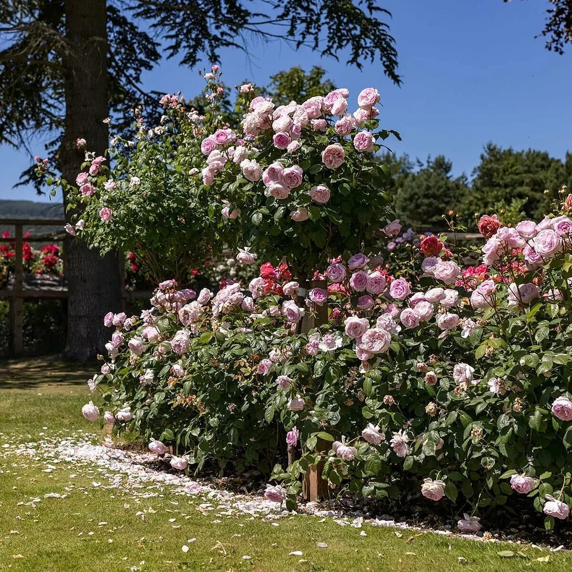 – Так, стоп! Він мої гроші проїдав, а тепер я ще йому винна?! З якого переляку? – Він твій батько! – випалила мама