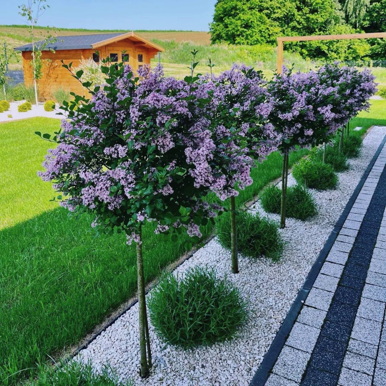 А й справді, мій не мій, яка різниця? Те, що не мій, це ще довести треба