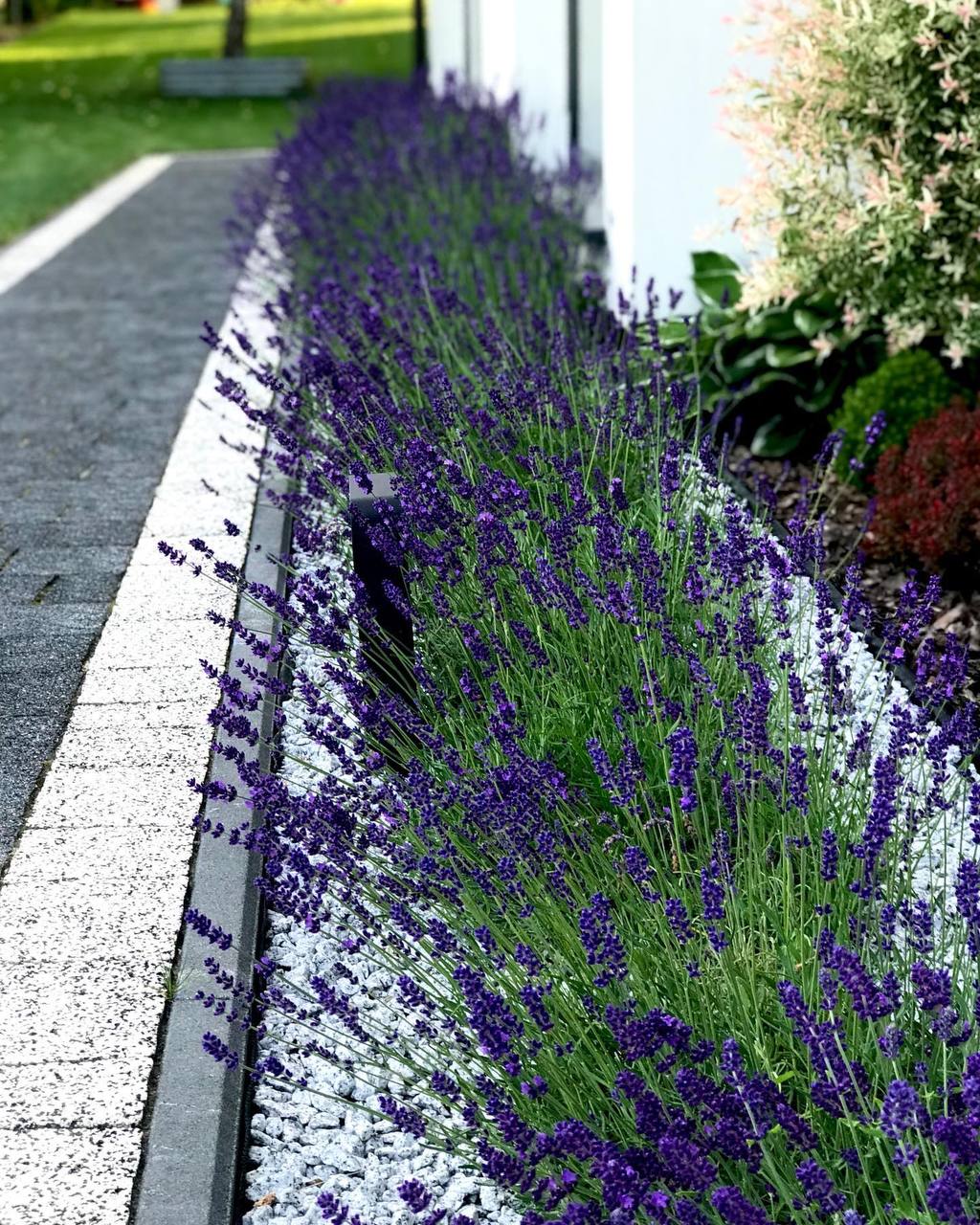 Якби ви були справжніми подругами, ви б постаралися підтримати мене у важкий час