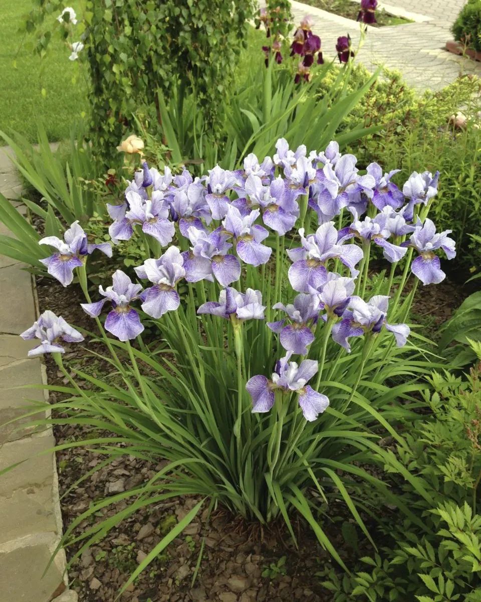 – Рідні чоловіка приїхали “у гості” на місяць! За тиждень я змінила замки