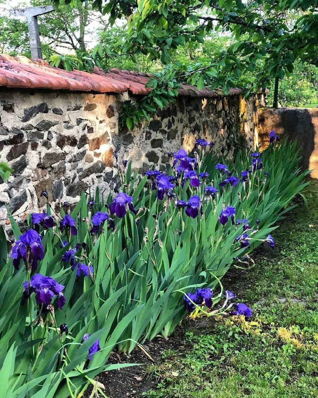Антоніна Петрівна виявилася копією Максима в жіночому образі: теж висока, сухопара, з жорсткими завитками темного волосся і близько посадженими сірими очима. Губи такі ж тонкі, посмішка така ж обеззброююча. Але за цією посмішкою ховалося аж ніяк не таке добре серце, як у Максима.