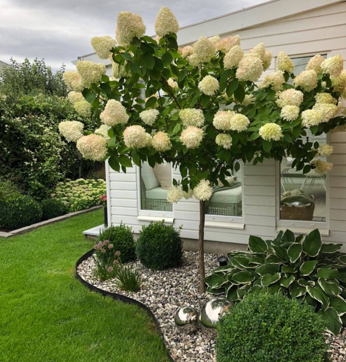 – Та як же я можу на вас покласти таку ношу? Навіть мій батько з Тетяною не погодилися його взяти