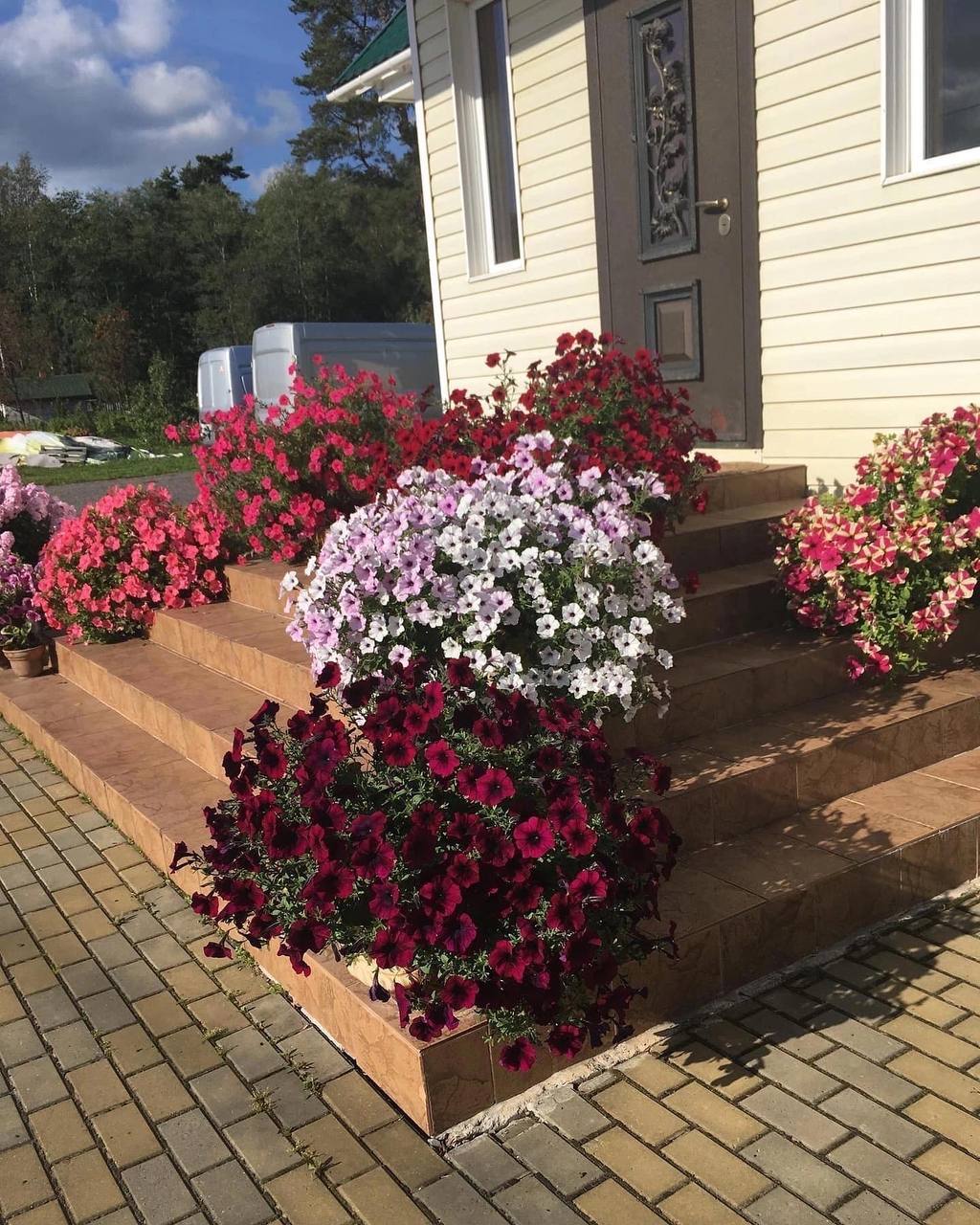 -А ти про Катюшу думала, коли розлучалася? – парирувала мама. – Сама винна – проґавила такого чоловіка