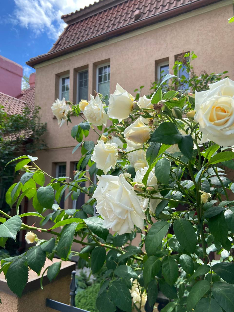 – А що, якщо ми заберемо Арсенія до себе? Він же все-таки твій син. Хлопчик має рости поруч із татом