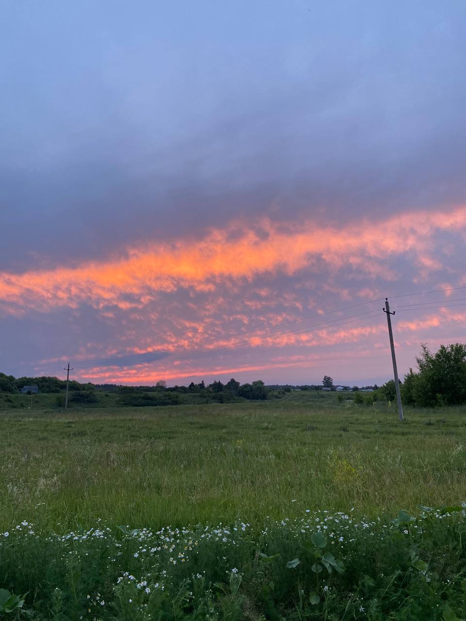На станції всі троє мовчали. Потяг ще не приїхав, а діти вже тулилися до бабусі. – Ми ще приїдемо. На Петра. І на Спаса. І на осінні канікули! – сказав Артем. Бабуся змахнула сльозу й махала до останнього, поки вагон не зник за поворотом. А вдома Оленка написала в щоденник: «Село – це круто. Бабуся – найкраща. Наступного разу візьму менше речей. Там і без телефона є життя»