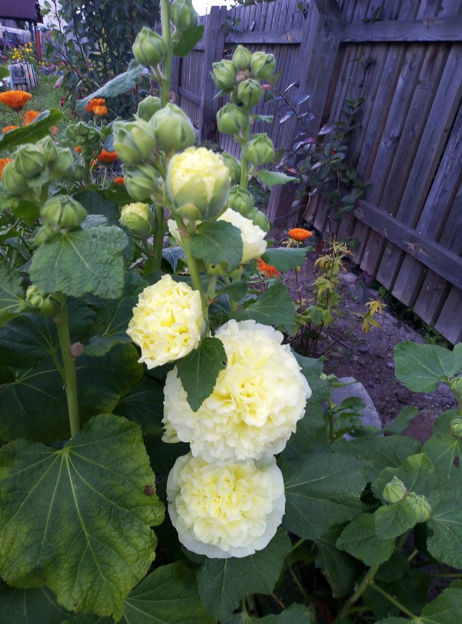 – Викинь усе. Новий етап – нові речі