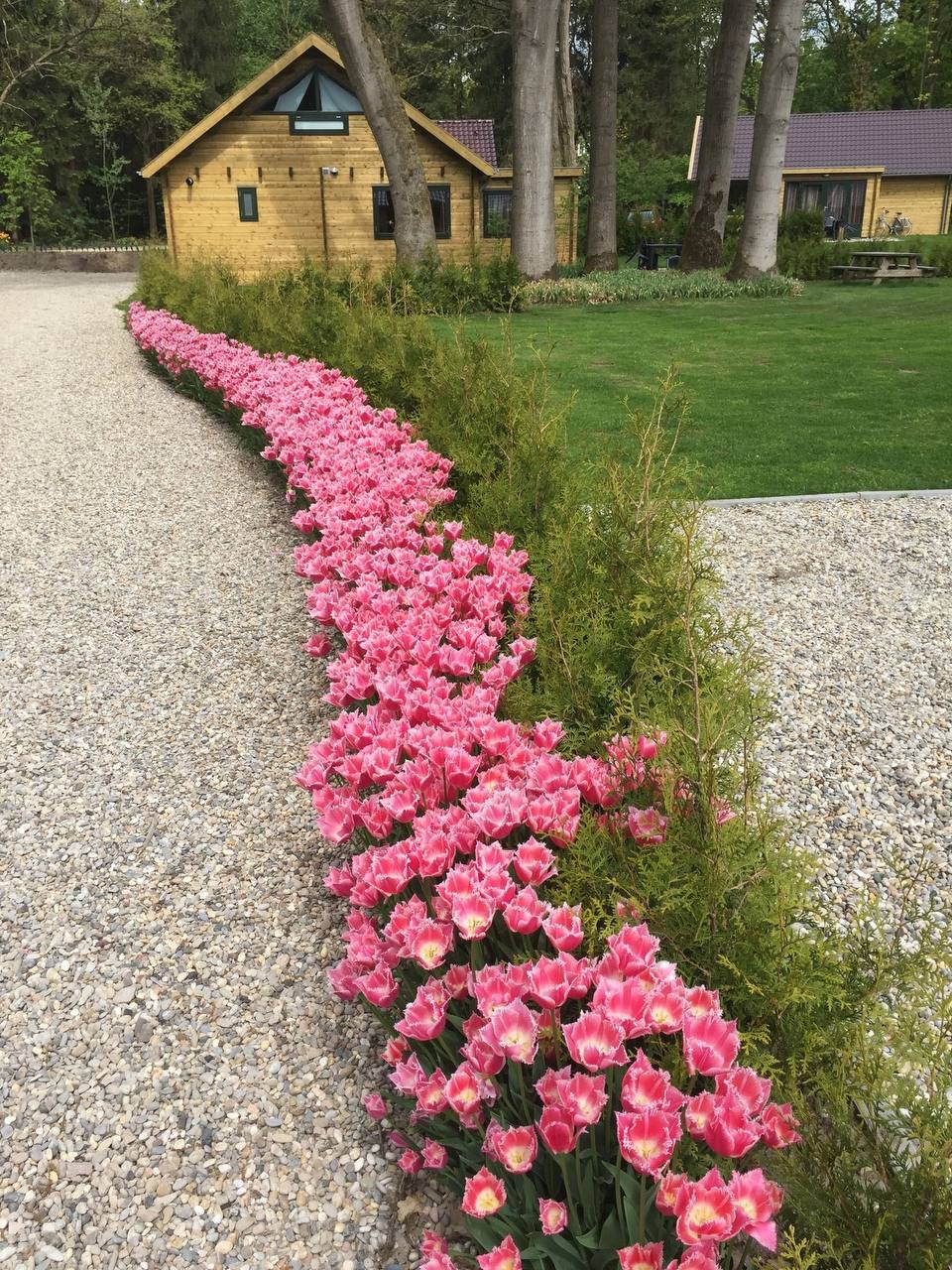 Багато хто помиляється. Головне, ти не помилися. Не завжди треба слухати інших