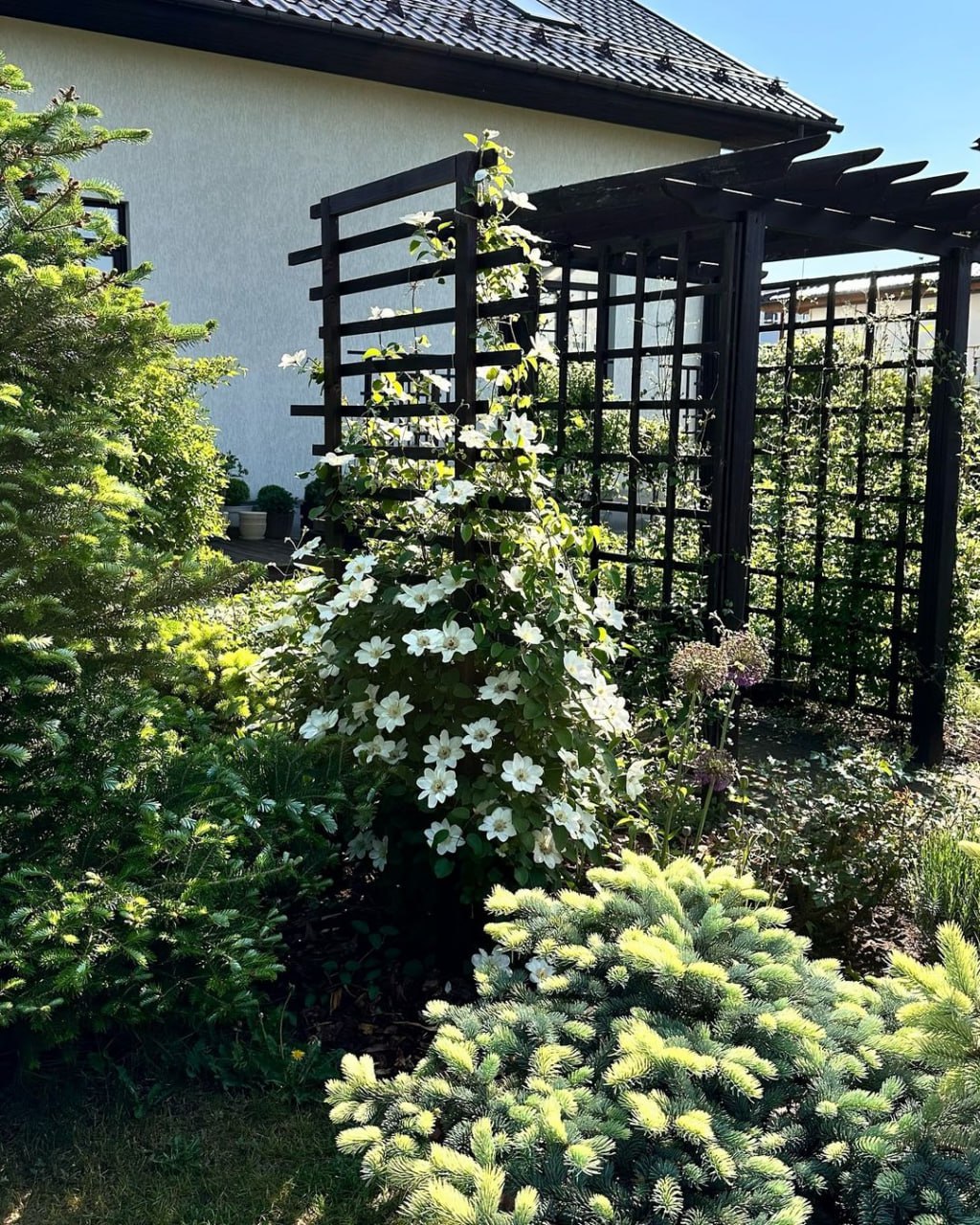 — Житиму тут. Квартира у вас нова, велика. А свою Максу віддам, нехай особисте життя влаштовує, — заявила з речами свекруха 👇