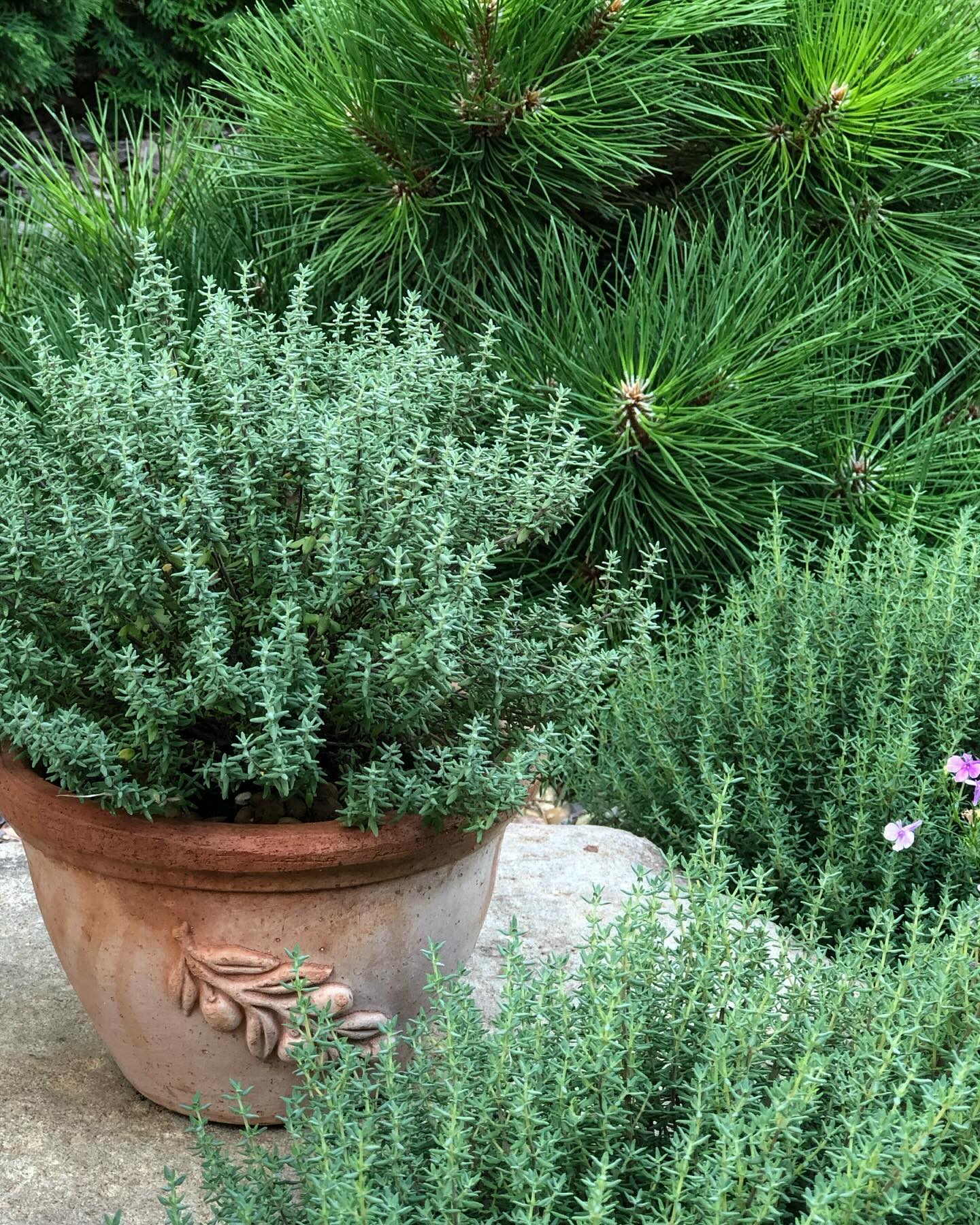 Світланко, я зараз в стаціонарі, мене вночі привезли сюди. Ігор у відрядженні, зможе приїхати тільки через три дні. Мілану мені ні з ким залишити. Зараз вона у сусідки, але та не буде з нею довго сидіти – всім же на роботу вранці. Дуже прошу тебе допомогти, побудь з нею, ти ж подруга моя, – подзвонила Олена Світлані посеред ночі. – Але ж мені на море їхати завтра, я вже речі збираю, готель оплатила і квитки на руках, я ж так довго мріяла про море, ти ж знаєш, – тихо відповіла Світлана. – Ми тут самі, рідні не маємо близько, надія тільки на тебе – так і знай, – сказала незадоволено подруга. Світлана сумно поглянула валізу і промовила: – Добре, їду вже до тебе, таксі викликай. Про те рішення вона вже сто разів пошкодувала