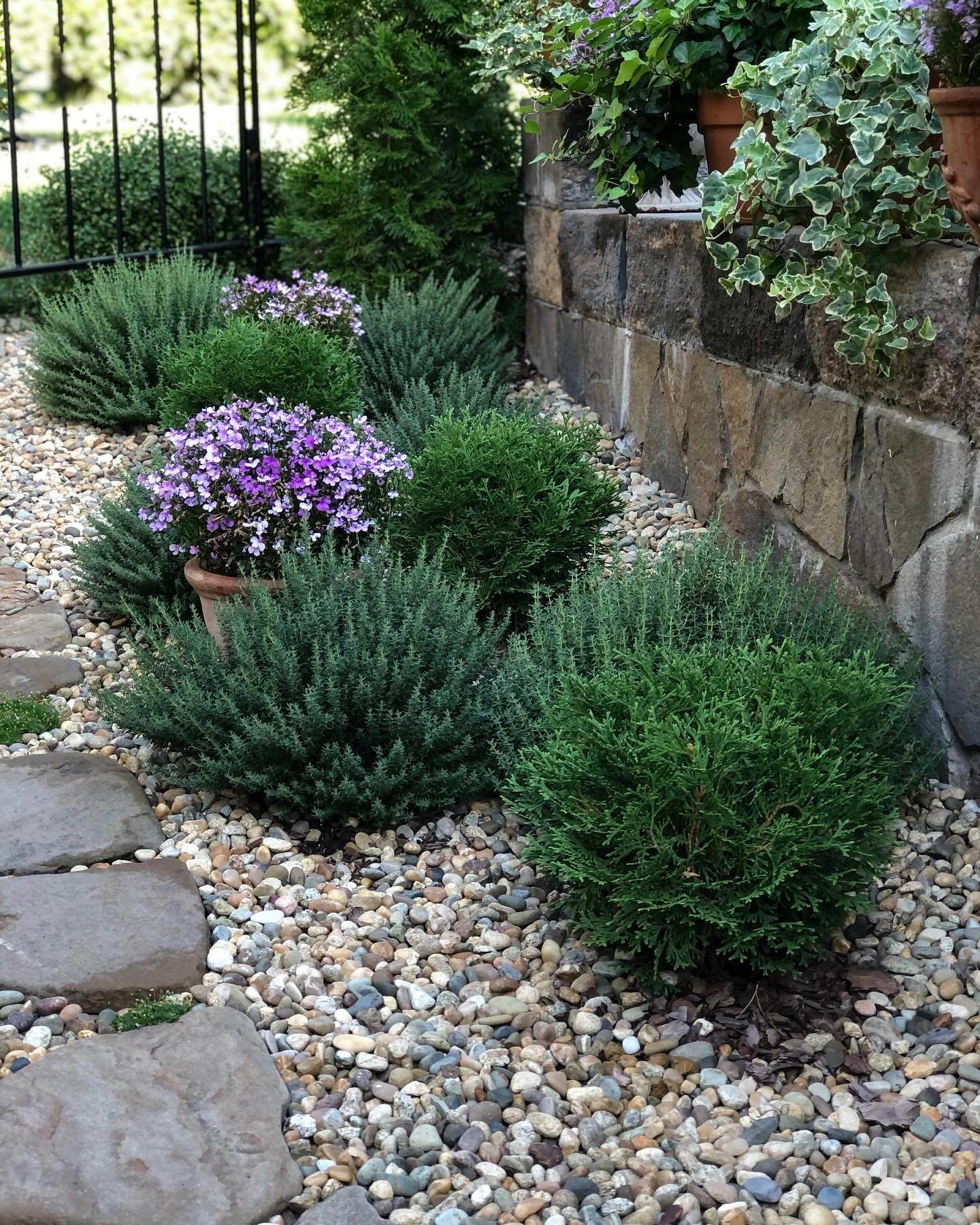 – Свєтка твоя хоче мене вморити! Віднеси суп в лабораторію! Вона, напевно, туди чогось підсипала! Все ніяк не дочекається, коли мене не стане! Зі світу мене зжити хоче! – Голосила свекруха