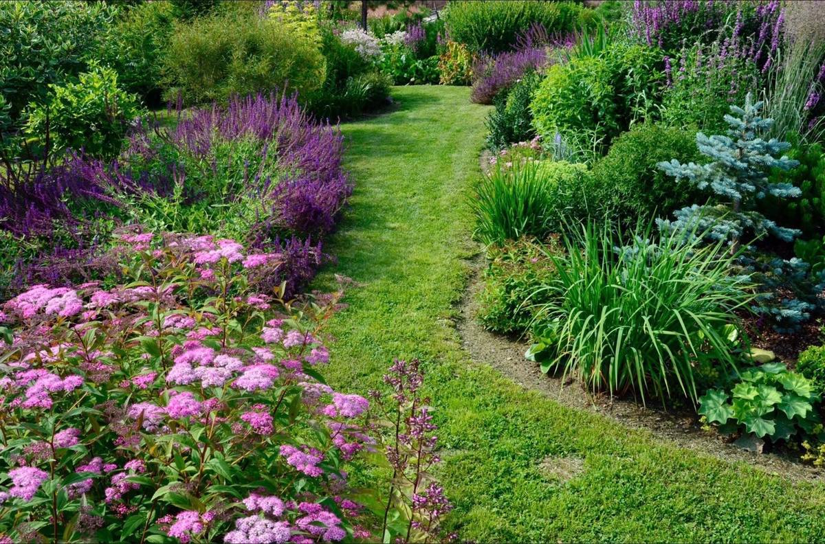 – Вона ж стара для мене і дитина в неї