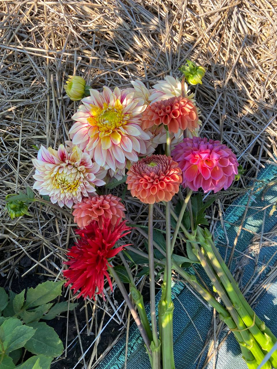– Думаю, ти знайдеш, де переночувати, – сказала Валентина чоловікові, який повернувся з курорту