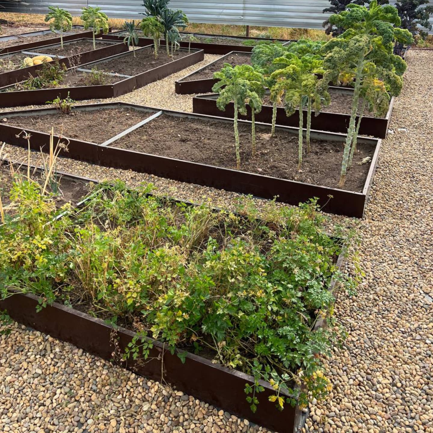 Василь пішов із родини, коли доньці було одинадцять. Тоді йому здавалося, що він просто мусив зробити цей крок, бо з Оленою, першою дружиною, жили вже як чужі.  А потім з’явилася Наталя –молода, жвава, життєрадісна. З нею було легко. Він повірив, що ще має право на щастя. Той факт, що у Василя був шлюб і є дитина Наталі не вельми подобався, але вона вирішила, що якось з цим впорається. – Не думай, що я забороняю тобі бачитися з Марічкою, – казала Наталя спочатку. – Просто… не втручай її в наше життя. Усе має бути розділено