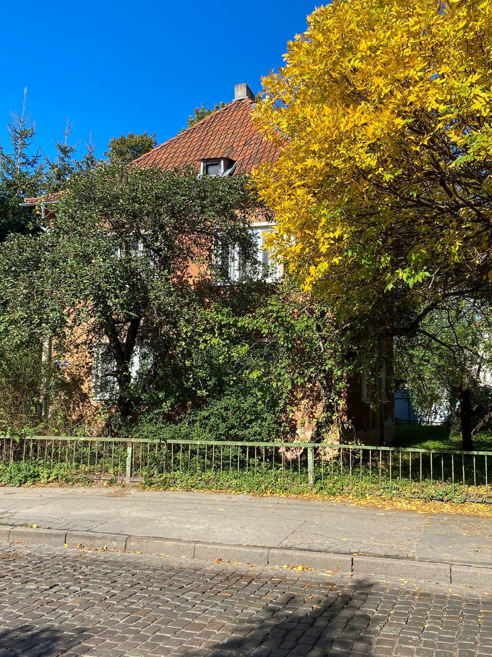 – Почекай, Олю… Але ж нам так добре було разом. Я думав, що тепер ти і я… Що все нормально в нас буде