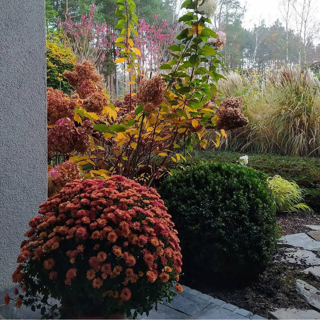 – Ні вже, з тобою я вже пожила! На десять життів вистачить! Усе, Вітенько