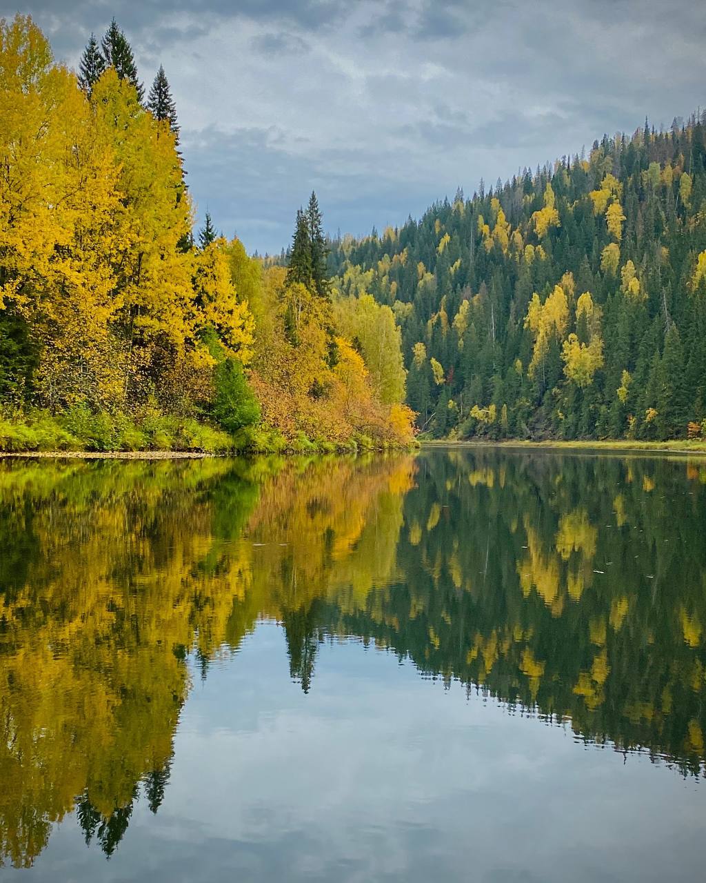 Важко повірити в щирість і доброту після зради та болю, але якщо кішка обрала вас для того, щоб виділити вам такий кредит довіри – ви Справжня Людина