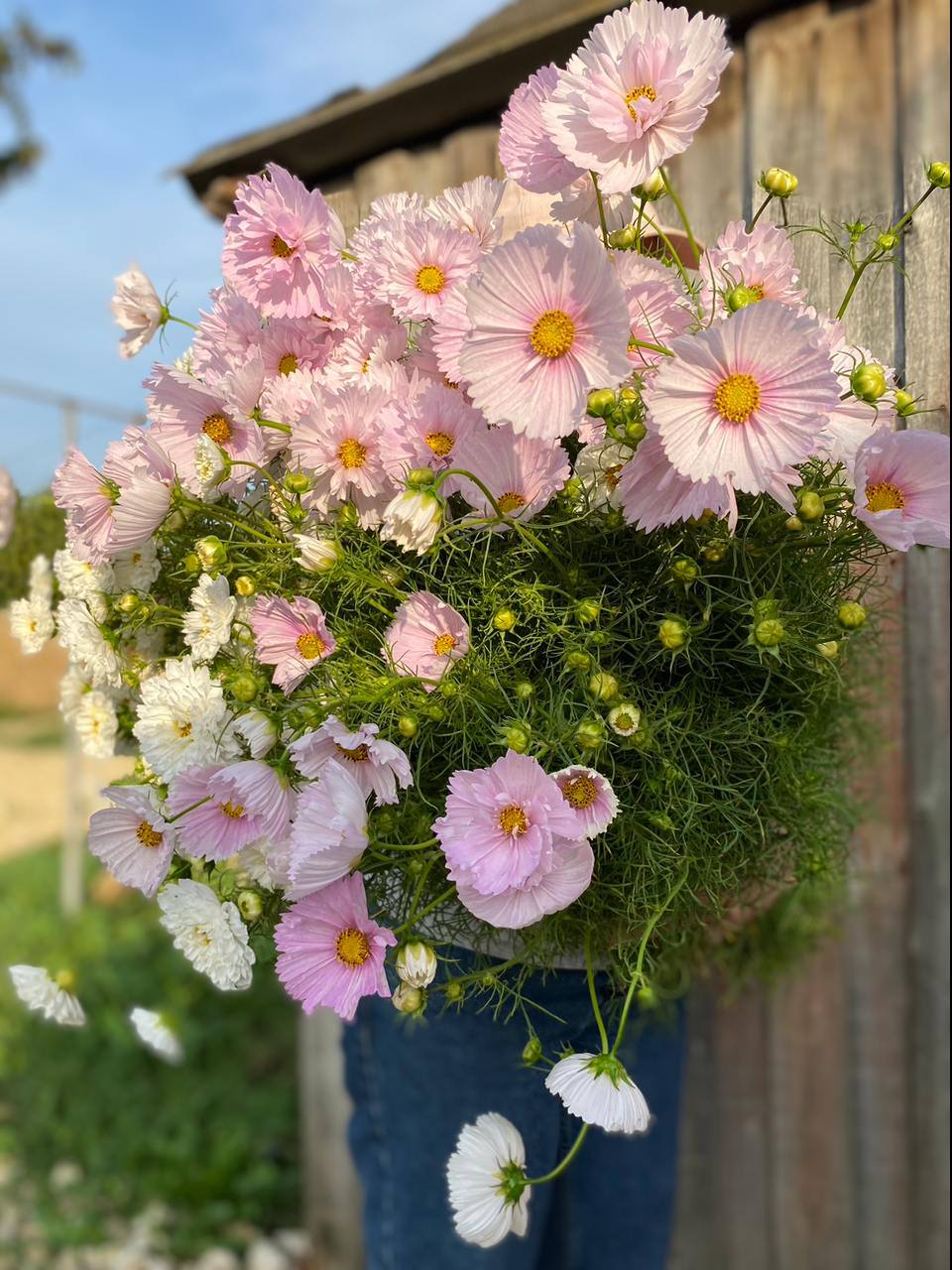 – Любі мої, у нас є невелике прохання. За шашлик та їжу – з вас тисяча! Все чесно, ми порахували! – Видали друзі, проводжаючи нас до машини