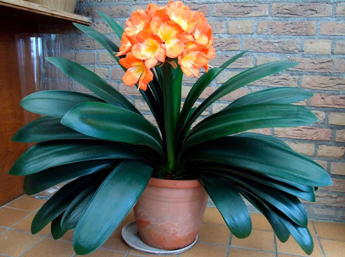 — Ну ти й жаднюга, премію отримала й ані слова не сказала!