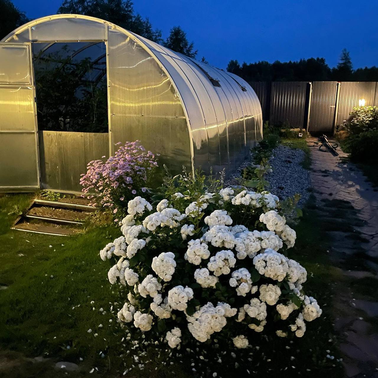 – Це вам спасибі. За те, що навчили мене бути бабусею, а не командиром. Тепер я бачу – так набагато краще