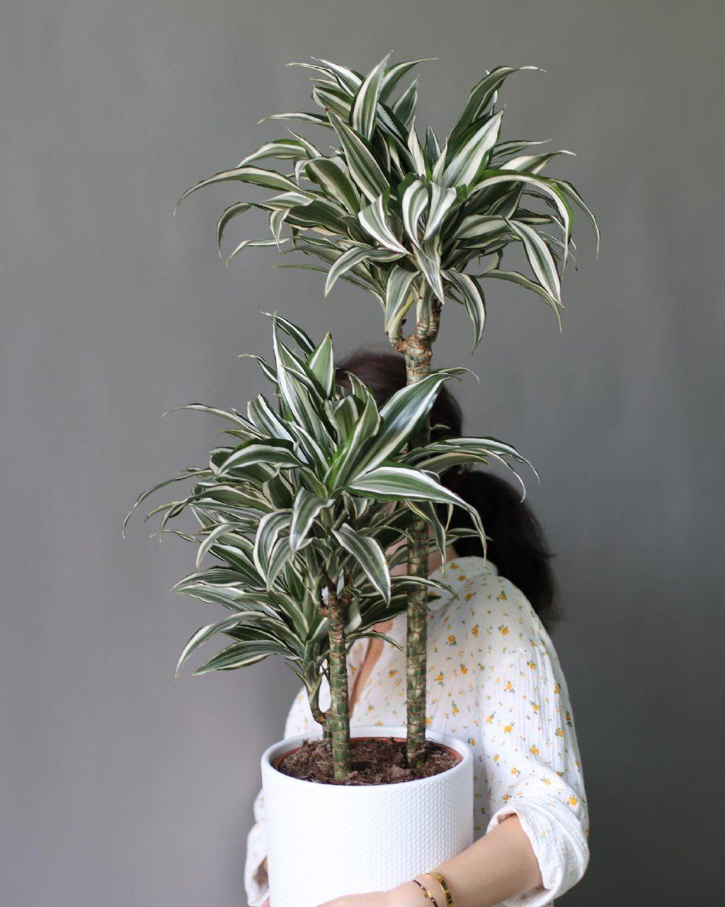 Де сніданок, мамо? І куди це ти так вирядилася? – Юрій, старший син Світлани щойно прокинувся відразу попрямував на кухню.Але вже по дорозі 25-річний син зрозумів, що з кухні нічим смачним, як завжди, не пахне. А тут ще й мама з зачіскою, в новій курточці та черевичках, кудись збирається. – Сину, я в село їду, буду пізно, а може навіть і в тітки Лесі заночую, тому ви з Євгеном вже щось собі самі з холодильника візьміть, – Світлана ще раз перевірила сумочку, чи все на місці, побажала сину гарного дня і зачинила за собою двері. Юрій не міг второпати, що відбувається, бо мама ніколи їх з братом без сніданку не залишала, а тут наважилася