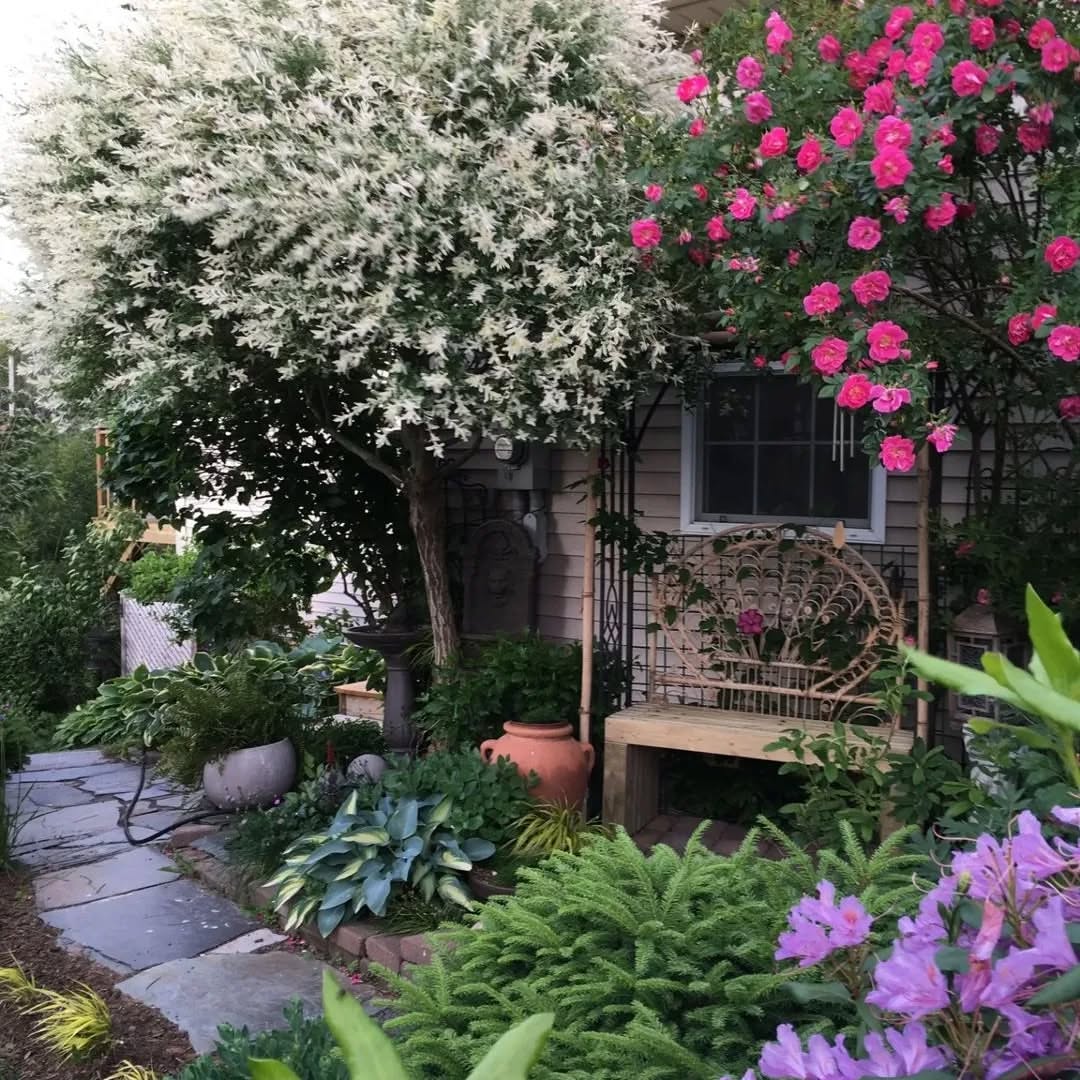 – Бароне, Бароне! Відчепися! Ну скільки тобі разів казати? Не кусай мене. Не кусай руку, яка тебе годує! Гаразд, вмовив, пішли ще погуляємо