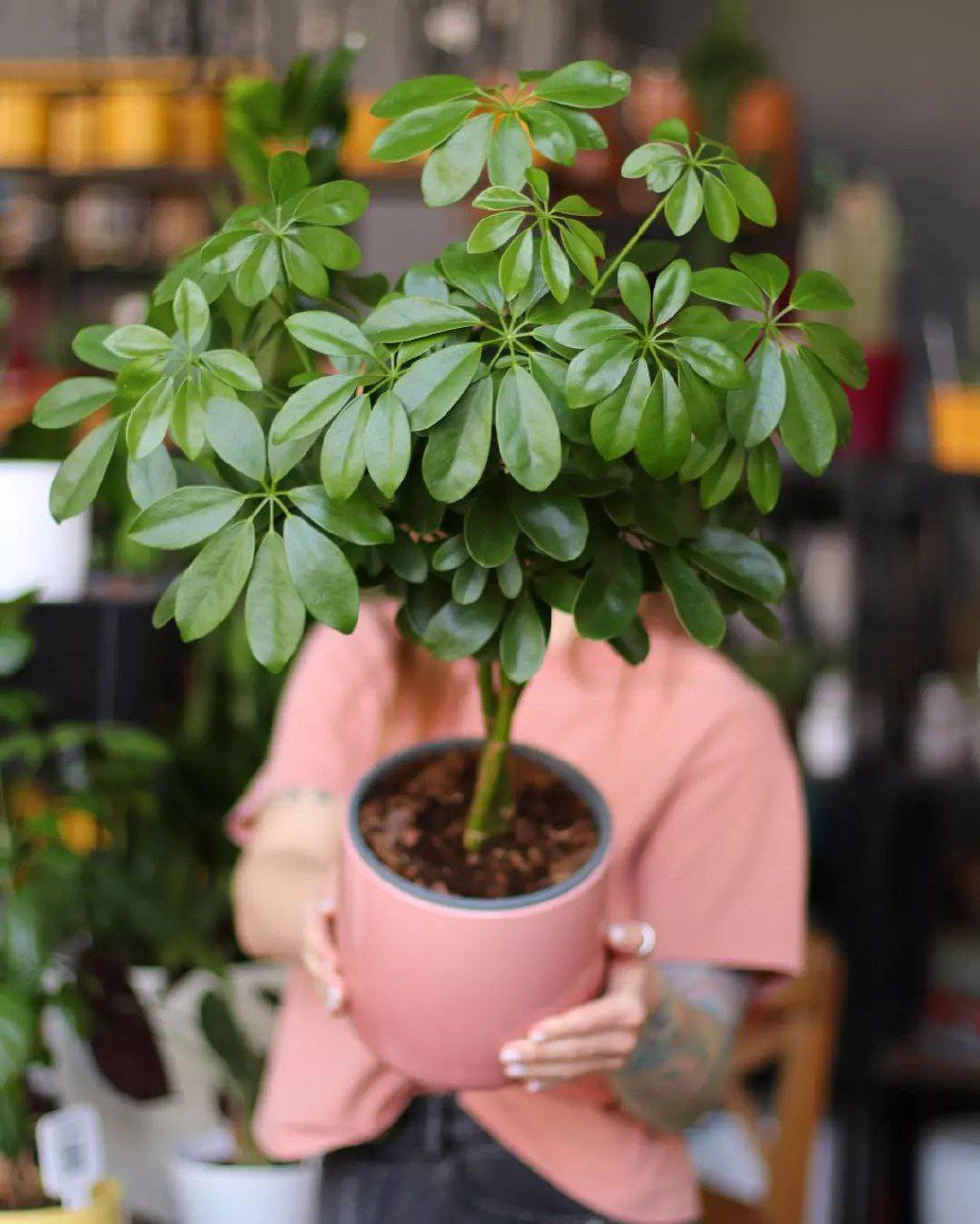 Нехай бабуся твоя пенсію нам віддає! І нічого, що ми в її будинку живемо! Це не означає, що вона має харчуватися за наш рахунок! – зажадала свекруха