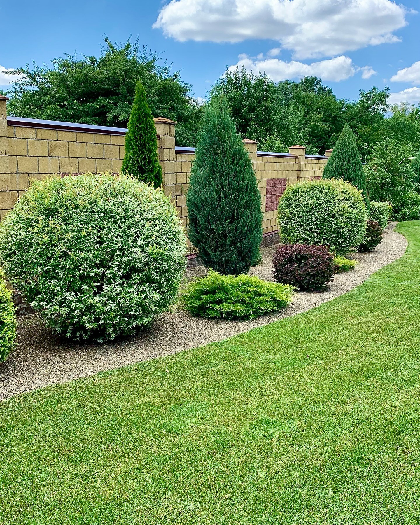 Дивна собака мовчки переслідувала чоловіка щодня: дізнавшись причину, він розплакався