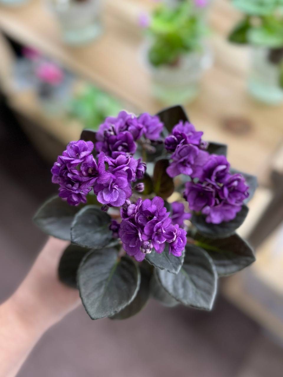 Як постелишся, так і виспишся…