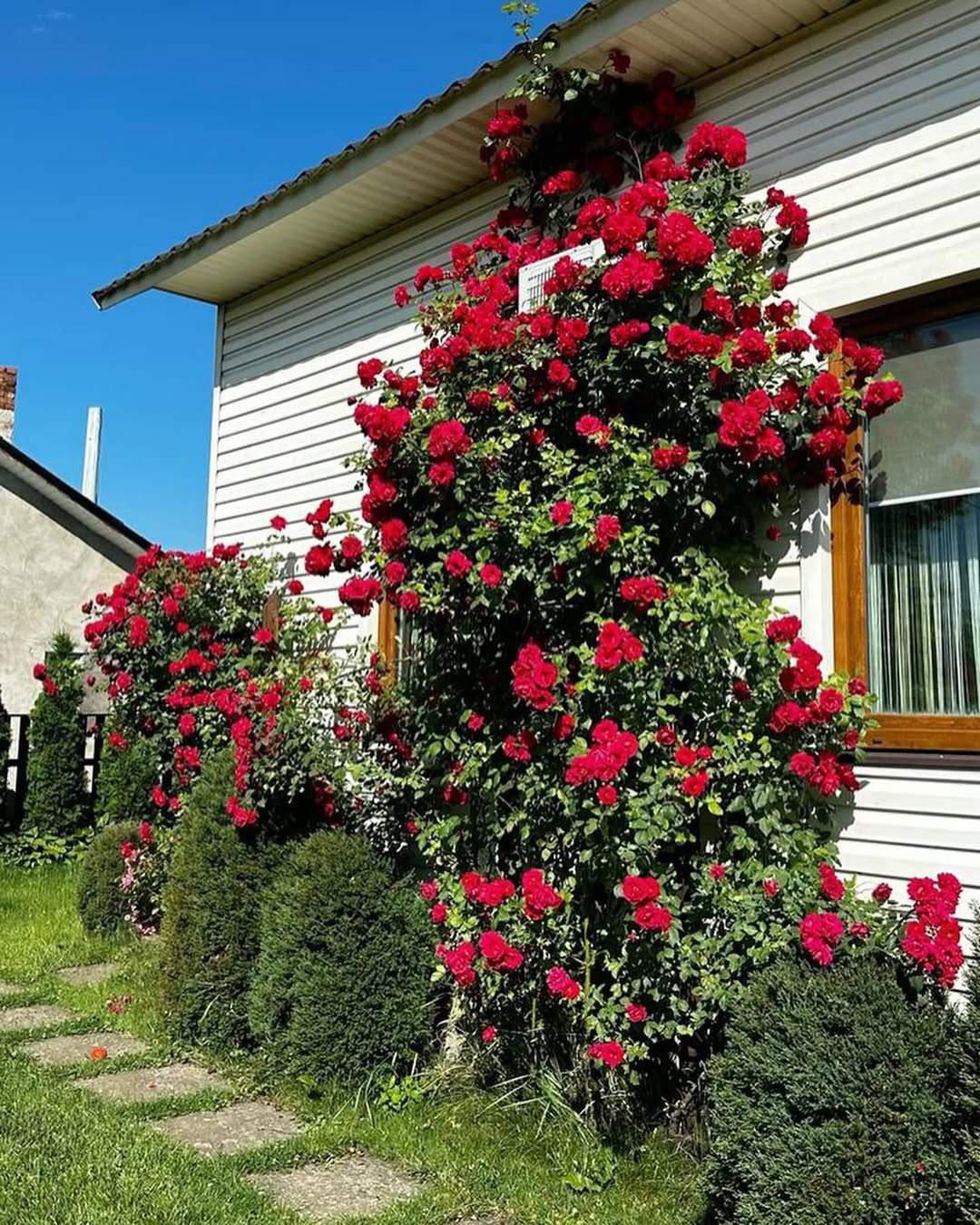 – Але ти ж не хочеш жити зі мною? Я навіть тепер не знаю, як вчинити. Може, ще раз спробуєш напроситися до тата
