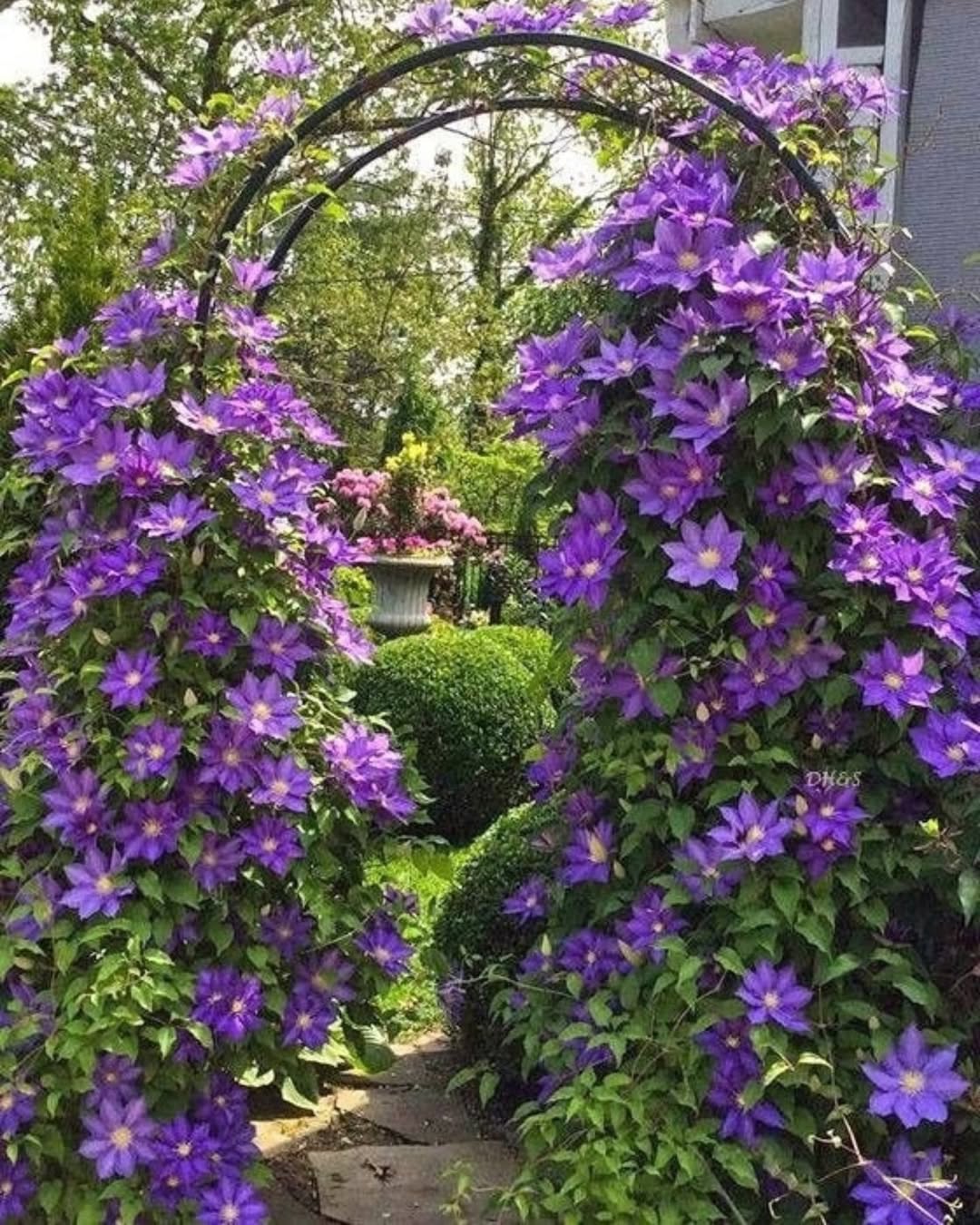 – А! – сплеснув руками батько. – Щоб я дачу на тебе оформив із квартирою, поки не пішов, так? А Оленку ти оббрехала, щоб я її не включив у заповіт? Так, донечко