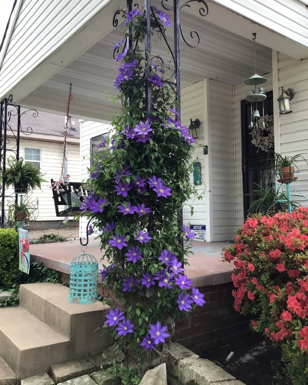 – А ось побачиш, і прибіжить, – усміхнувся Микола Васильович. – Кохає вона мене, давай, клич матір. І в квартиру веди