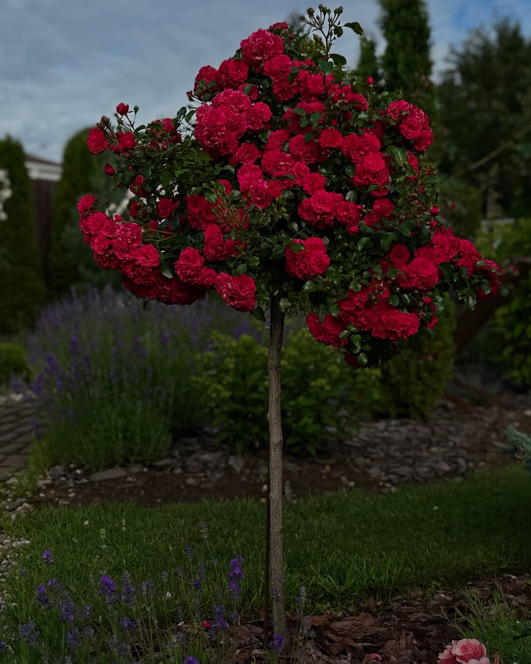Я подумала і вирішила, що тобі потрібно прийняти їх у себе. І їм радісно буде поруч із дітлахами, вони душею відтануть, і тобі корисно поспілкуватися з розумною людиною. Добре, Настю