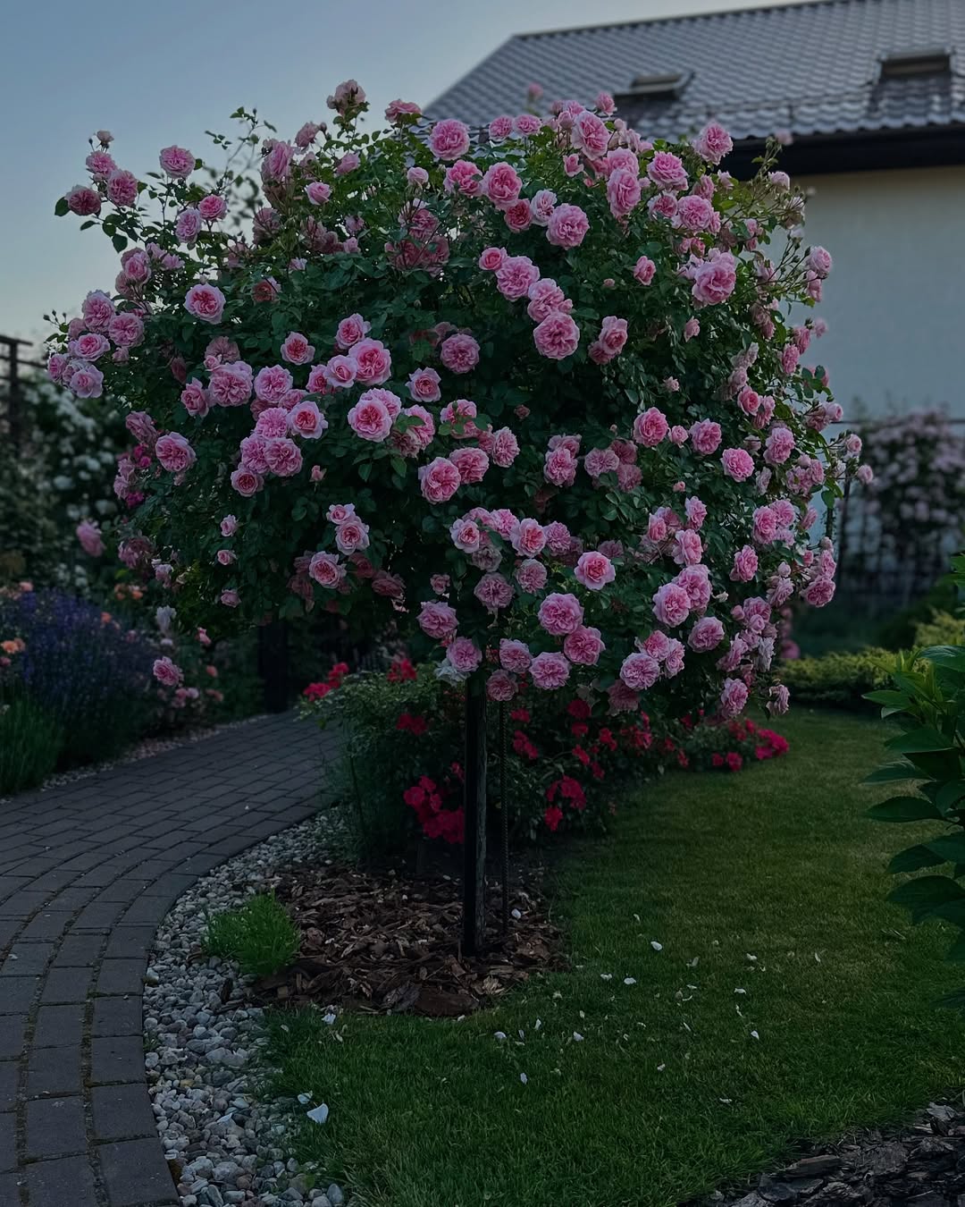 – Їх ніхто не проганяв, – відповідали і одній і другій, – вони самі чомусь не захотіли залишитися! Нехай приїжджають! Ми будемо раді