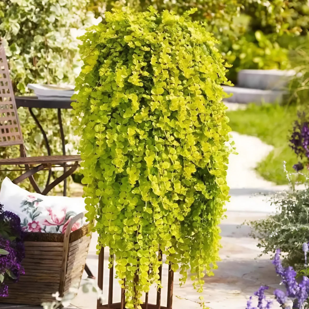 – Ти нічого не переплутав? Ти живеш на мої гроші, не працюєш, і ще приводиш сюди жінок? Мало того – ще й пригощаєш їх вечерею. Для мене картоплю лінуєшся приготувати