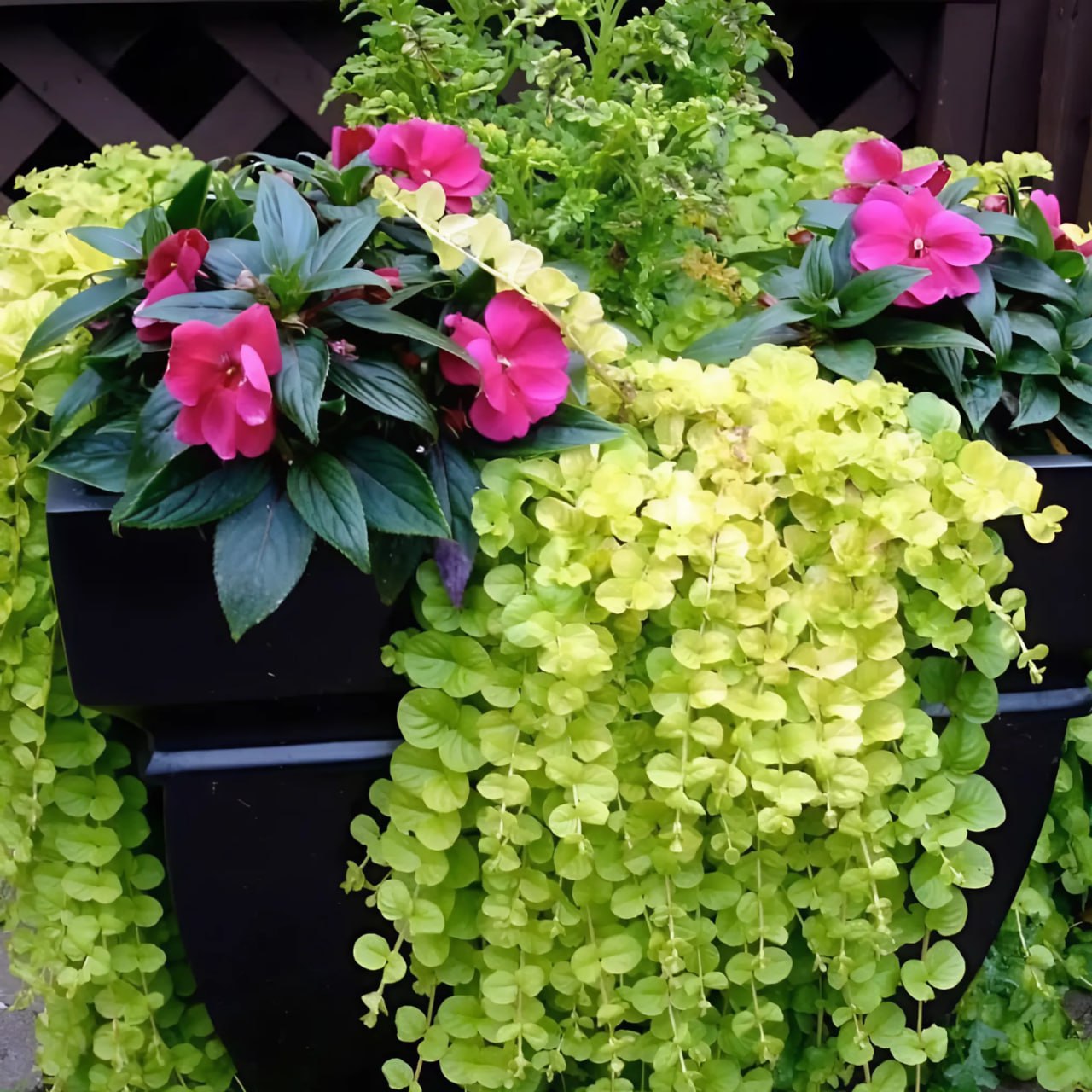 – Валю, ти повинна дати мені другий шанс. Я знаю, що ти мене, як і раніше, кохаєш. Інакше ти не була б зараз одна