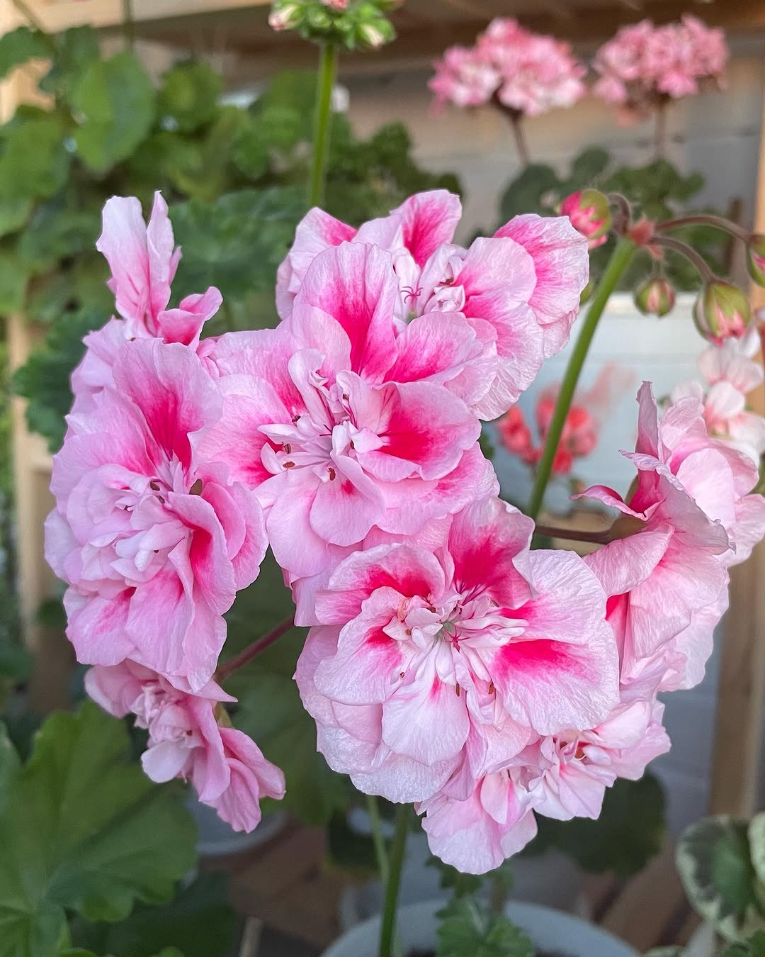 – Ну що, догралася? Тепер будеш лікті кусати, та пізно. Дітей без батька залишила, а все через твій поганий характер