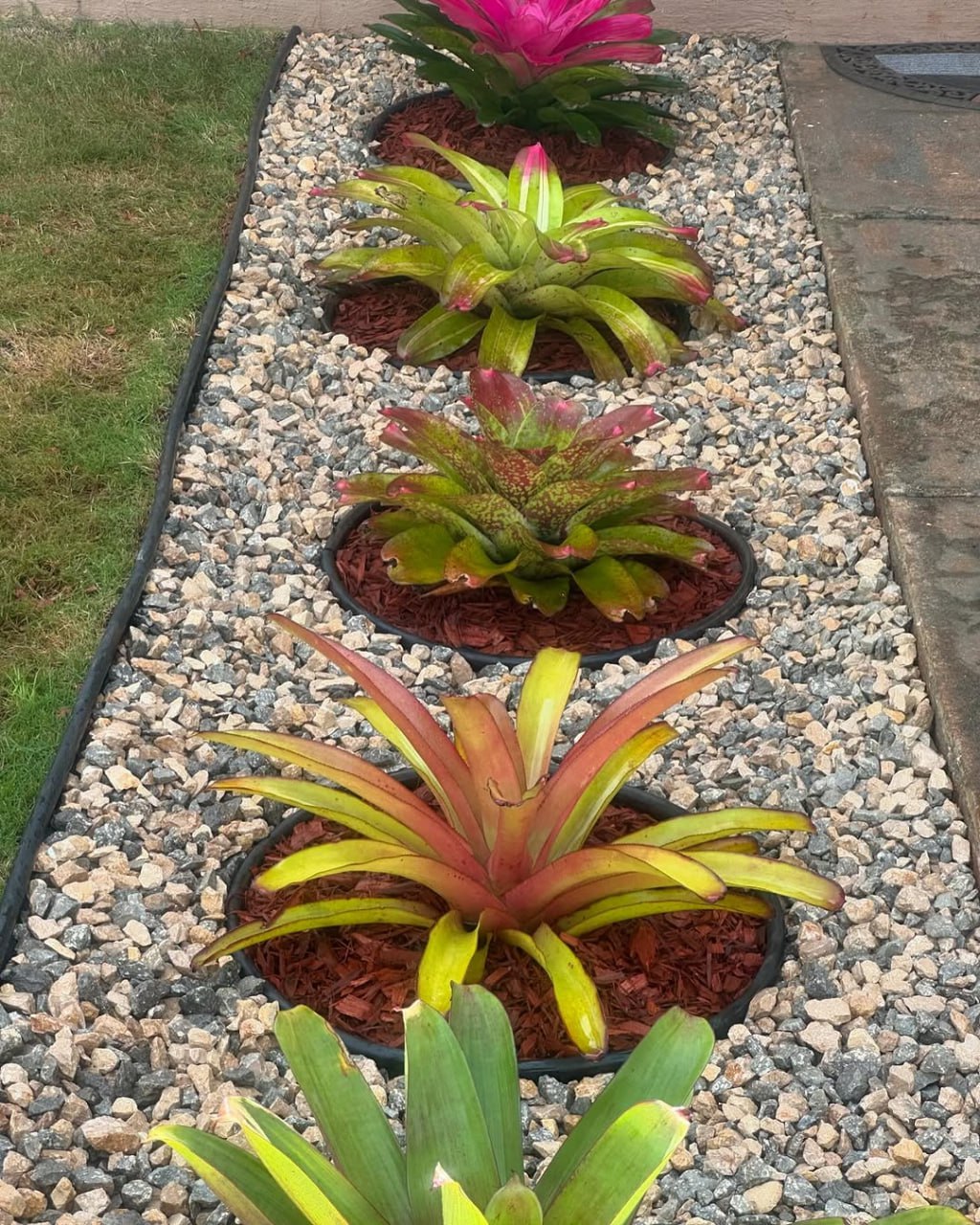 – Сашко, можете мене ще раз виручити