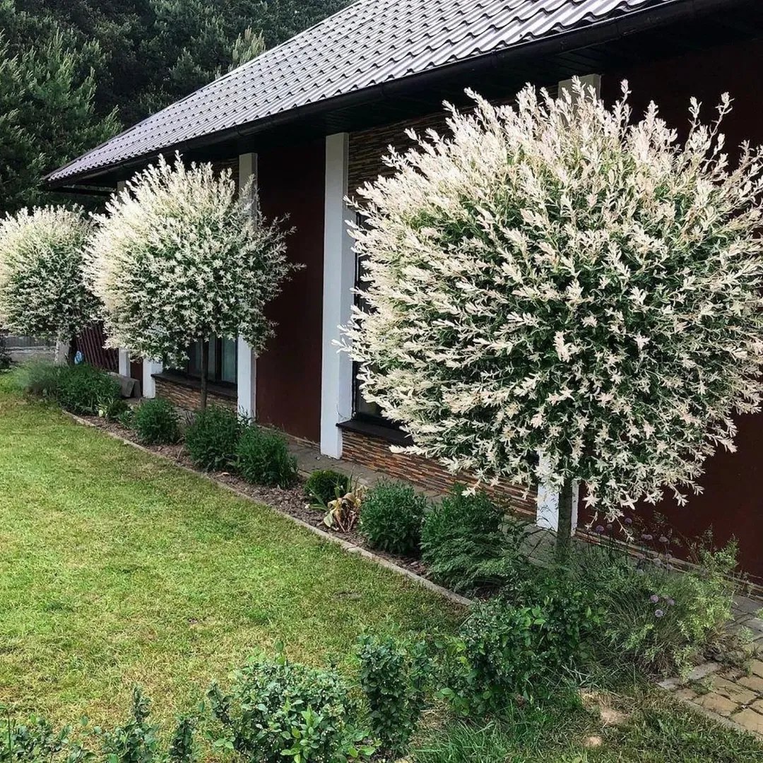 Дітям я нічого не говорила до того часу, поки Олександр не зробив мені пропозицію. Я дала свою згоду, і прийшла до сина з невісткою повідомити їм цю новину. Невістка сказала, що такої легковажності вона від мене точно не чекала, а син відразу став говорити, щоб я на нього написала дарчу на свою квартиру. Мені дуже прикро, що діти так відреагували