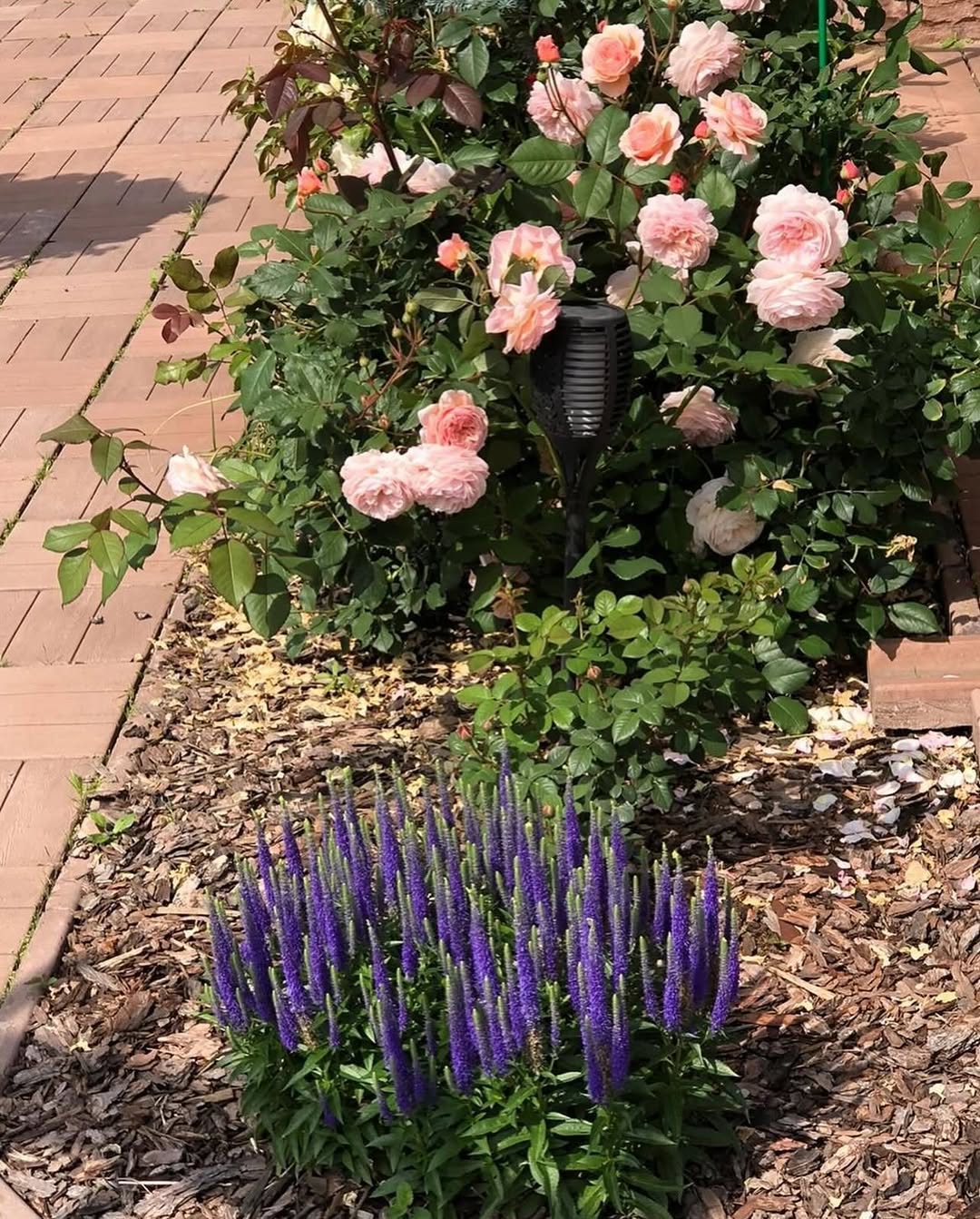 Промаринував мене Андрій довгих п’ять років в коханках, це не так і багато, коли тобі двадцять, але, коли вже сорок п’ять? І я вже й до дружини не тягну і для дівчини теж не підходжу