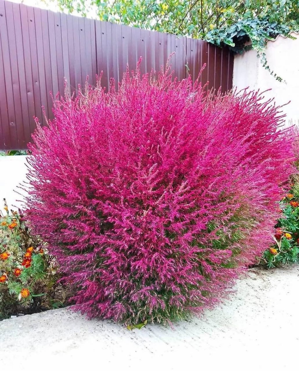 Я обіцяла на нашому весіллі бути вірною в здоров’ї і хвоpoбі. Прийшов час виконати обіцянку.