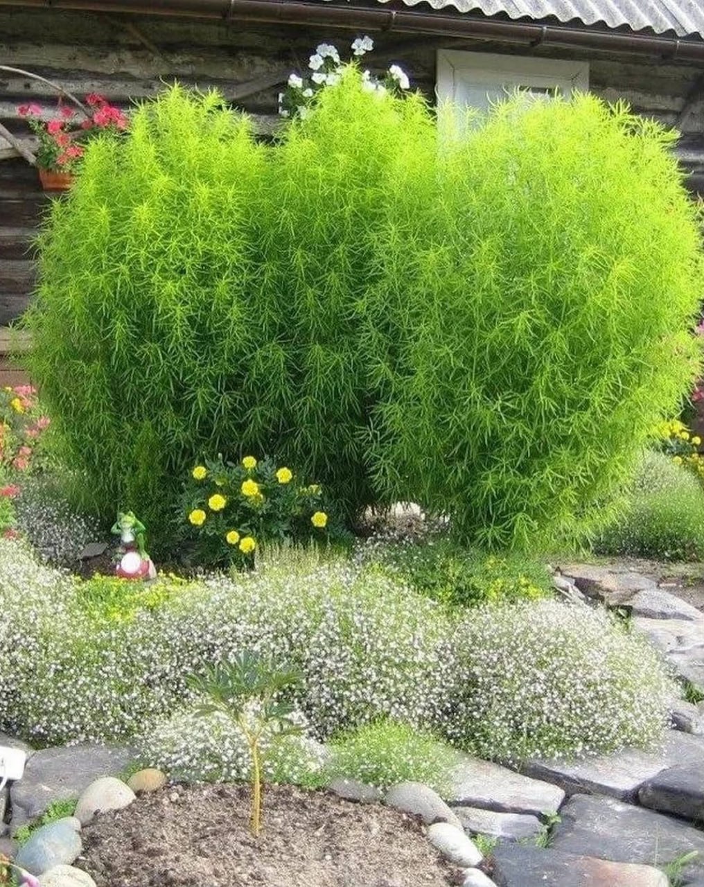 Настав день, коли батько привів у дім Зінаїду Василівну. Вона не те, що не злюбила дівчинку, а вдавала, ніби її зовсім не існує. Наталка зустрічалася з мачухою лише під час їжі. Батько намагався робити все, щоб вони почали спілкуватися