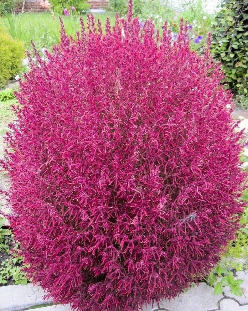 Син прийшов до мене з пропозицією, щоб я дозволила йому продати свою однокімнатну квартиру, адже у мене наразі є житло. Вони б продали свою і купили б собі більшу, бо їм зараз дуже тісно. Сина свого я розумію, і навіть шкодую, але на такий необачний крок я наважитися не можу, адже в разі чого, я опинюся на вулиці, бо ми з чоловіком не розписані, а його доньки мене не люблять, і відразу на наступний день з дому попросять на вихід